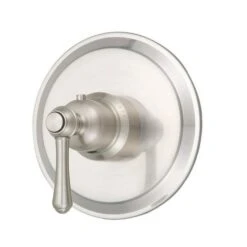 Danze Brushed Nickel Lever Shower Handle