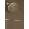 Moen Velocity Brushed Nickel 2-Spray Rain Shower Head 2.5-GPM (9.5-LPM) -Alliee Bath And Faucet Shop 026508221068 08230902 1800x1800