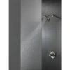 Delta 0.5-in Stainless Bathtub/Shower Diverter -Alliee Bath And Faucet Shop 034449686525 12167392 1800x1800