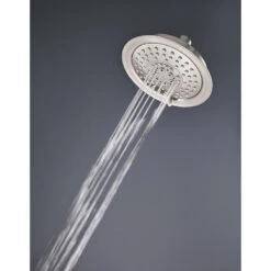 Pfister Universal Trim Brushed Stainless Steel 5-Spray Shower Head 2.5-GPM (9.5-LPM) -Alliee Bath And Faucet Shop 038877590607 03767884 1800x1800