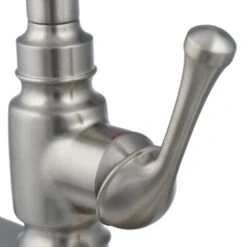 Carmichael Single-Handle Pull-Down Sprayer Kitchen Faucet In Stainless Steel -Alliee Bath And Faucet Shop 0b0e86fde7094bab69fff8864fd60fce 1800x1800