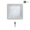 Rene 16 In. Undermount Bathroom Sink In White With Pop-Up Drain In Chrome -Alliee Bath And Faucet Shop 24622ed387be5a8048cba969dfdd78aa 1800x1800