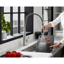 Simplice Single-Handle Pull-Down Sprayer Kitchen Faucet In Vibrant Stainless 18 Simplice Single-Handle Pull-Down Sprayer Kitchen Faucet In Vibrant Stainless -Alliee Bath And Faucet Shop 2ab3cda7f326d3caf0998f6c9f963a1c 1800x1800