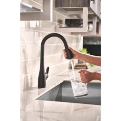 Arbor Single-Handle Pull-Down Sprayer Kitchen Faucet With Reflex And Soap/Lotion Dispenser In Matte Black -Alliee Bath And Faucet Shop 4145d581d5d74ba691e98f736b92d515 1800x1800