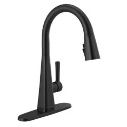 Lenta Single-Handle Pull-Down Sprayer Kitchen Faucet With ShieldSpray Technology SpotShield Stainless -Alliee Bath And Faucet Shop 47002fcf18846142b914bbc25d61c8ce d8777f7b a135 4a52 b6ec 0d5cc950aa0e 1800x1800