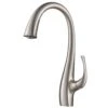 Spot Free Ansel Single-Handle Pull-Down Sprayer Kitchen Faucet In All-Brite Stainless Steel 2 Spot Free Ansel Single-Handle Pull-Down Sprayer Kitchen Faucet In All-Brite Stainless Steel -Alliee Bath And Faucet Shop 4eec66c43090a8b451a98fc8c42eb62d 1800x1800