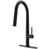 Greenwich Single-Handle Pull-Down Sprayer Kitchen Faucet With Deck Plate In Matte Black -Alliee Bath And Faucet Shop 4fcd2d8bab0de4fd6a6d7e3023b8534b 1800x1800