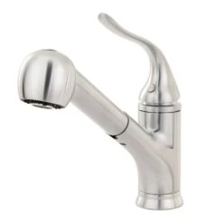 Coralais Single-Handle Pull-Out Sprayer Kitchen Faucet With MasterClean Sprayface In Polished Chrome -Alliee Bath And Faucet Shop 5018349c05b081840ac8c4813ac1f155 1800x1800