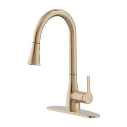 Classic Series Single-Handle Standard Kitchen Faucet In Chrome 13 Classic Series Single-Handle Standard Kitchen Faucet In Chrome -Alliee Bath And Faucet Shop 5eea1e02f78a43e98ee4ba81e70053a4 9e3a14a1 0302 4b89 a627 38e361145445 1800x1800