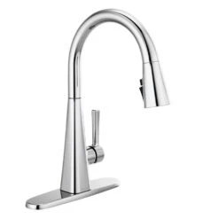 Lenta Single-Handle Pull-Down Sprayer Kitchen Faucet With ShieldSpray Technology SpotShield Stainless -Alliee Bath And Faucet Shop 645534b4c2b520168edf1db490d8ef68 8eff29d4 6dca 4f48 8ddb 3ea44dbee85f 1800x1800