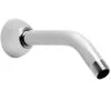 Speakman Polished Chrome Bathtub/Shower Shower Arm And Flange -Alliee Bath And Faucet Shop 671252016783xl 1800x1800
