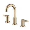 Jacuzzi Duncan Brushed Bronze 2-Handle Widespread WaterSense Bathroom Sink Faucet With Drain -Alliee Bath And Faucet Shop 6925699901503 1800x1800
