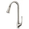 Singer Series Single-Handle Pull-Down Sprayer Kitchen Faucet In Brushed Nickel 2 Singer Series Single-Handle Pull-Down Sprayer Kitchen Faucet In Brushed Nickel -Alliee Bath And Faucet Shop 71e6b382634cdef4d86c7a344a3d14d5 1800x1800