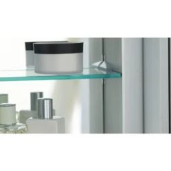 Robern R3 24-in X 26.125-in Rectangle Surface Mirrored Medicine Cabinet -Alliee Bath And Faucet Shop 723085031584 11212721 1800x1800