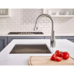 Clarify Single-Handle Pull-Down Sprayer Kitchen Faucet With GE Filtration System In Stainless Steel -Alliee Bath And Faucet Shop 8d13a11932daf6de506eaac15eb0a3c6 1800x1800