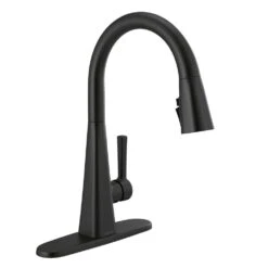 Lenta Single-Handle Pull-Down Sprayer Kitchen Faucet With ShieldSpray Technology SpotShield Stainless -Alliee Bath And Faucet Shop 92891b9e83e1963ab33871de3a7d74a9 8b3b554d c236 42bf b880 4f1b516cdb59 1800x1800