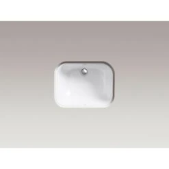 KOHLER Tahoe Undermount Cast Iron Bathroom Sink In White With Overflow Drain 8 KOHLER Tahoe Undermount Cast Iron Bathroom Sink In White With Overflow Drain -Alliee Bath And Faucet Shop 94a673aa2f991bee6f3727cf28f00b15 1800x1800