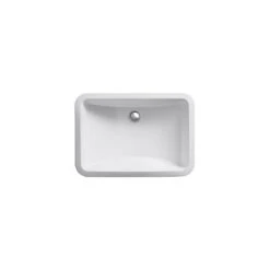 KOHLER Ladena 20-7/8 In. Undermount Bathroom Sink In White With Overflow Drain -Alliee Bath And Faucet Shop 9d422119654bbfb309697a33379721e3 1800x1800
