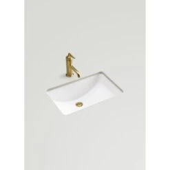 KOHLER Ladena 20-7/8 In. Undermount Bathroom Sink In White With Overflow Drain -Alliee Bath And Faucet Shop abf2e394869c9022a6a849cee7cda59b 1800x1800