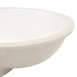 KOHLER Caxton Vitreous China Undermount Bathroom Sink In White With Overflow Drain -Alliee Bath And Faucet Shop b9b8b8ecc794c492228158783bdc5a3f 1800x1800