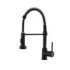 Stainless Steel Faucet Single-Handle Faucet Pull-Down Sprayer Kitchen Faucet Black -Alliee Bath And Faucet Shop bd33d7d0992fb5891e252a964474f938 1800x1800