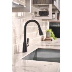 Arbor Single-Handle Pull-Down Sprayer Kitchen Faucet With Reflex And Soap/Lotion Dispenser In Matte Black -Alliee Bath And Faucet Shop cf1bc9d455a0d7a9f25152af7206ad14 1800x1800