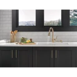 Owendale Single-Handle Pull-Down Sprayer Kitchen Faucet With ShieldSpray Technology In Champagne Bronze -Alliee Bath And Faucet Shop d3c3a9c707286fef749dc98ced5c1c04 1800x1800