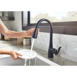 Arbor Single-Handle Pull-Down Sprayer Kitchen Faucet With Reflex And Soap/Lotion Dispenser In Matte Black -Alliee Bath And Faucet Shop ef2bf4ed8e7ce8db6772713abd44c54e 1800x1800