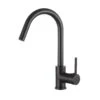 Farnese Single-Handle Standard Kitchen Faucet With Side Sprayer In Oil Rubbed Bronze -Alliee Bath And Faucet Shop f1d3136a170550a233bcdca6e79cf58d 1800x1800